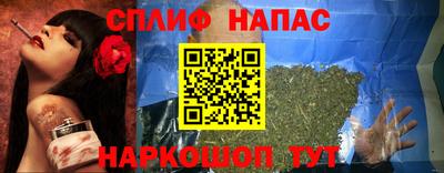 СК Тара