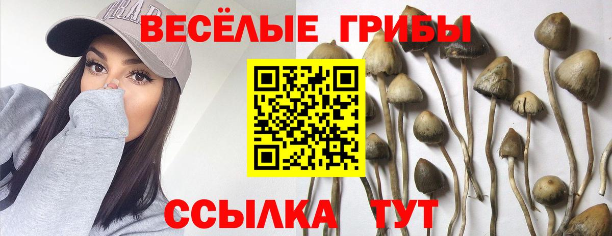 Отрадный  Псилоцибиновые грибы ЛСД  Вход с VPN 