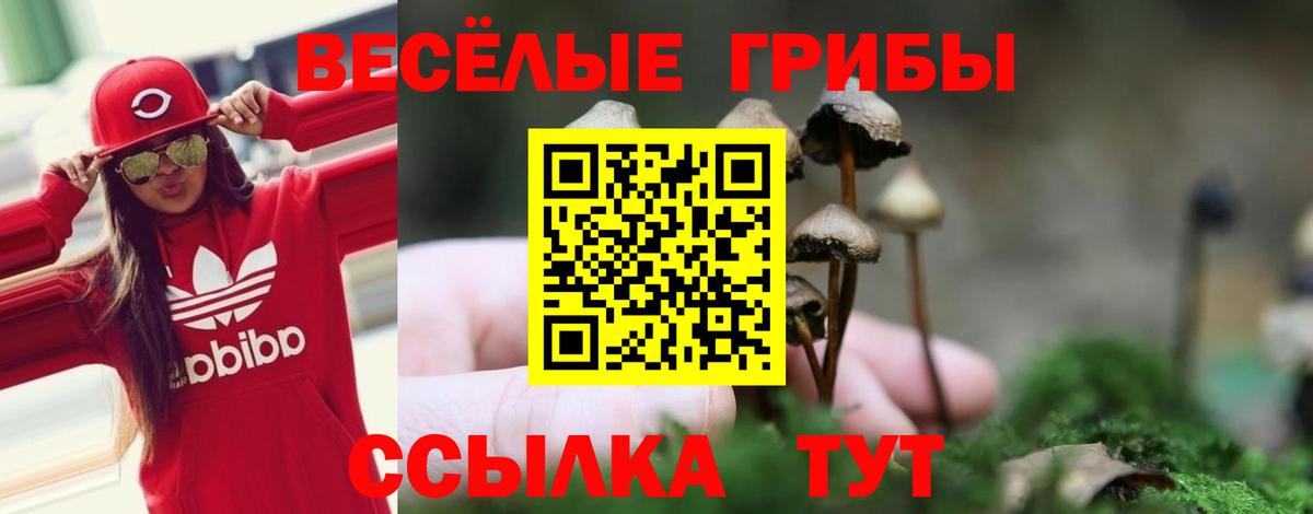 Псилоцибиновые грибы Magic Shrooms Отрадный